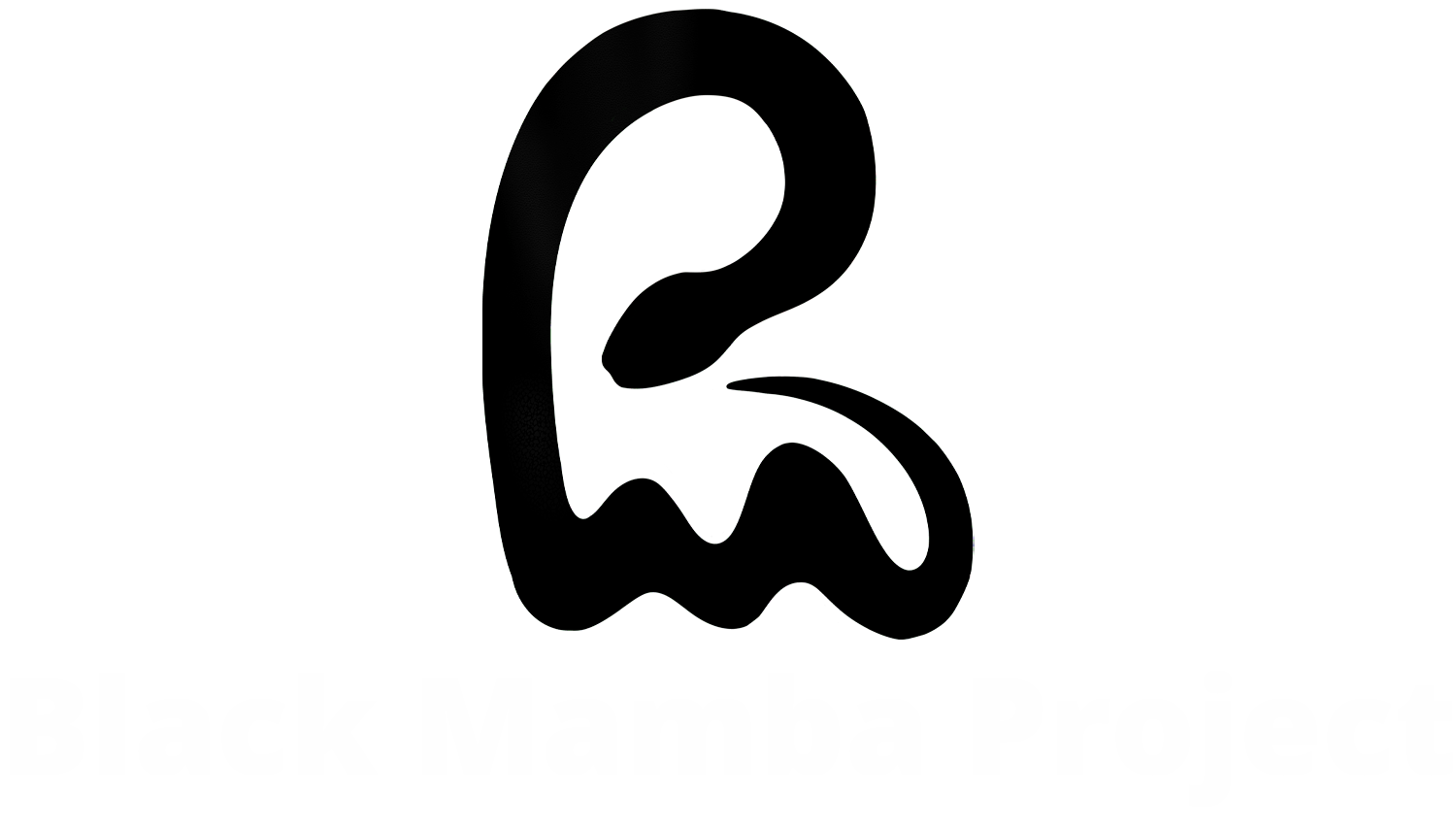 Black Mamba Project